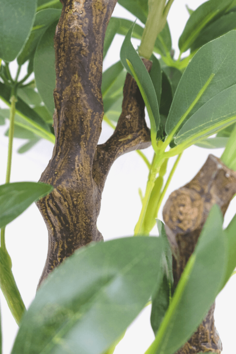 details Schefflera Arboricola Kunstplant 120cm