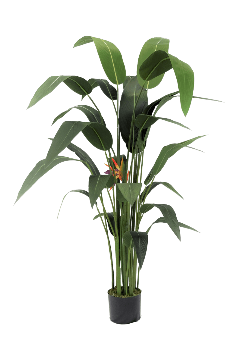 Strelitzia Kunstplant Met Bloem 160cm