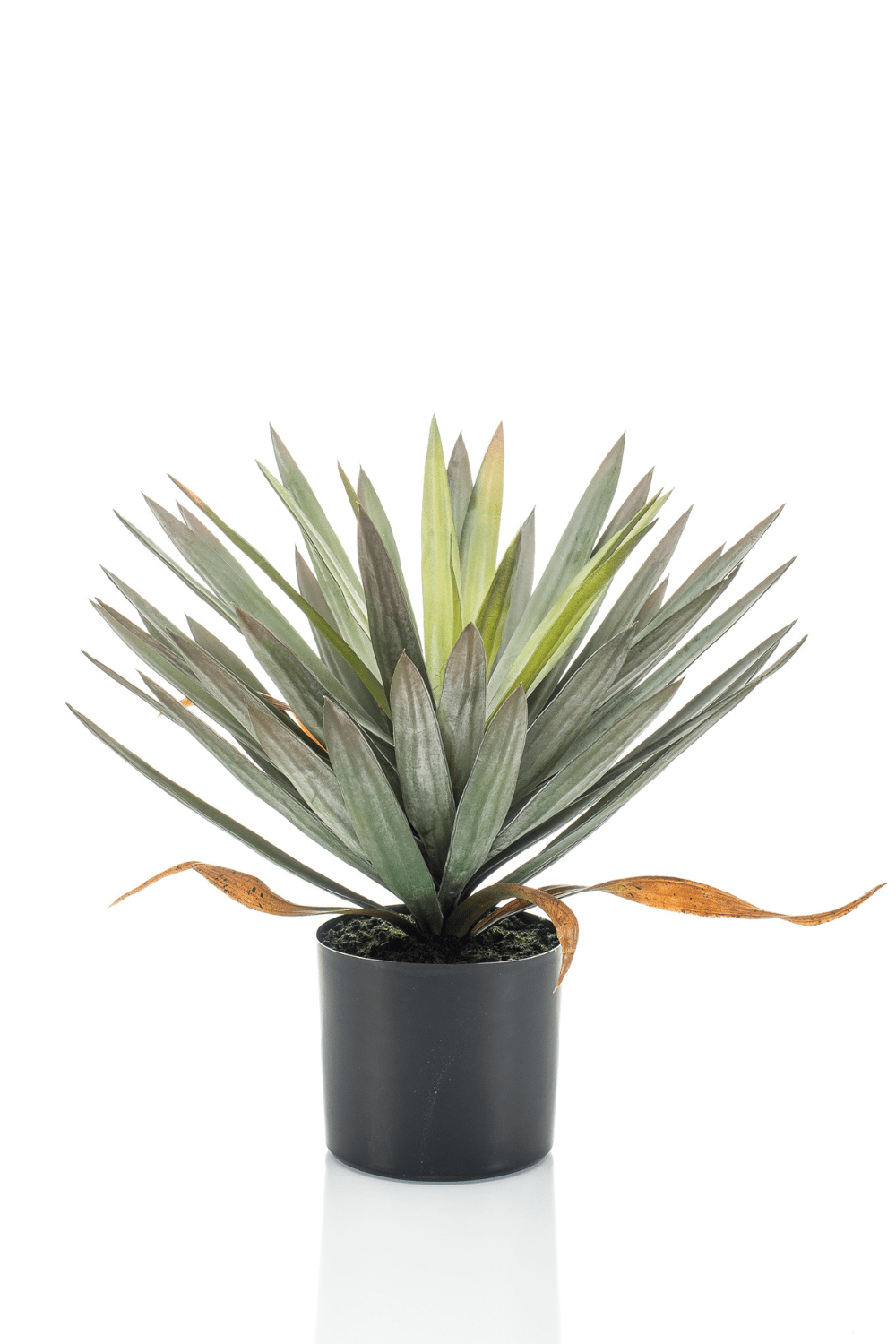 Yucca Kunstplant 50cm