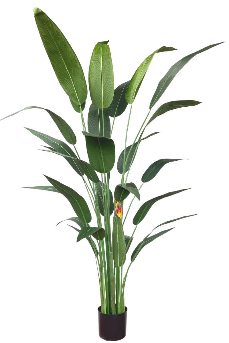 Strelitzia Kunstplant Met Bloem 180cm