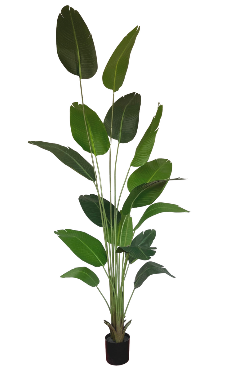 Strelitzia Kunstplant 240cm