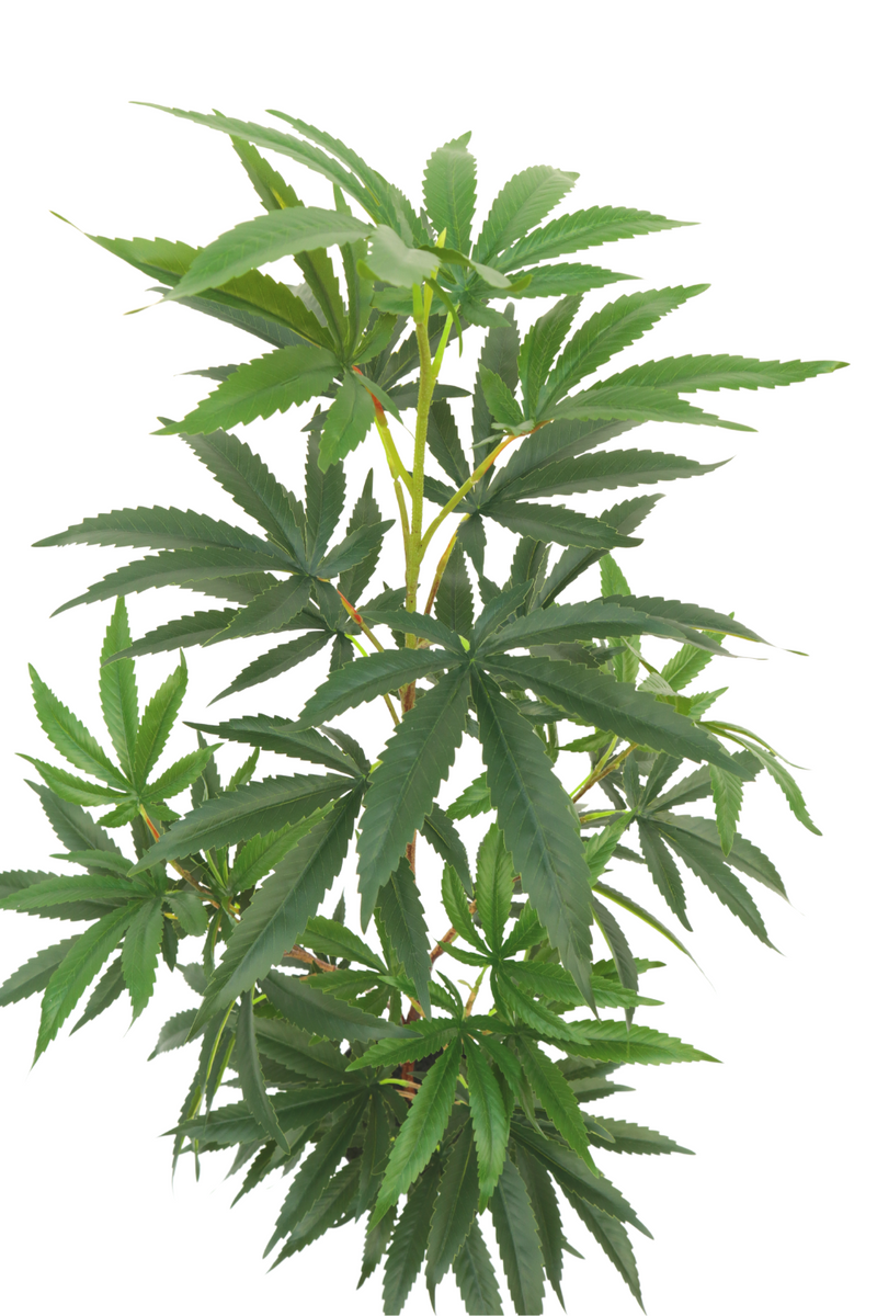 Bladeren Aralia kunstplant 100cm
