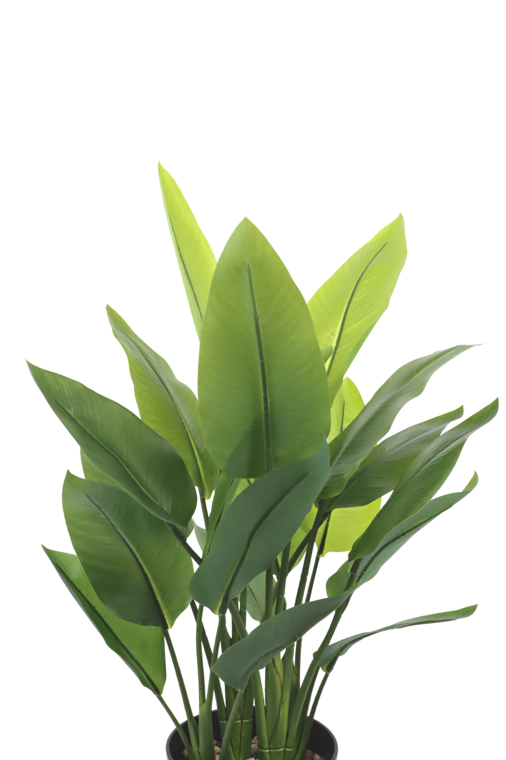bovenkant Strelitzia Kunstplant 70cm