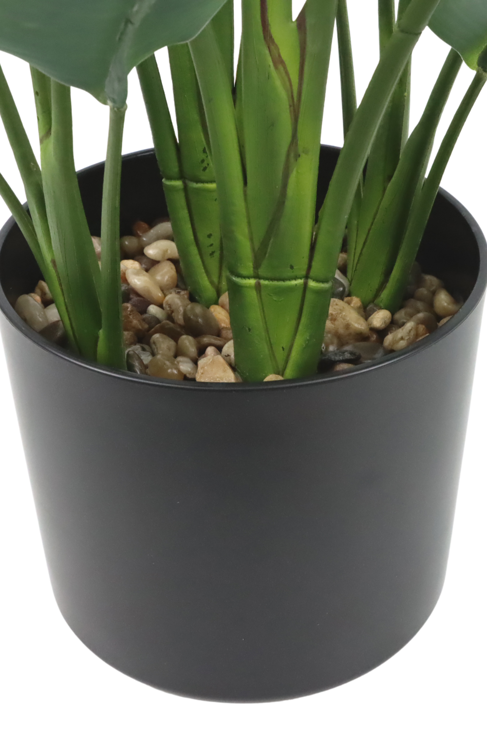 onderkant Strelitzia Kunstplant 70cm