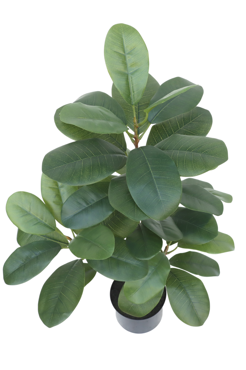 bovenaanzicht Ficus Kunstplant 80cm