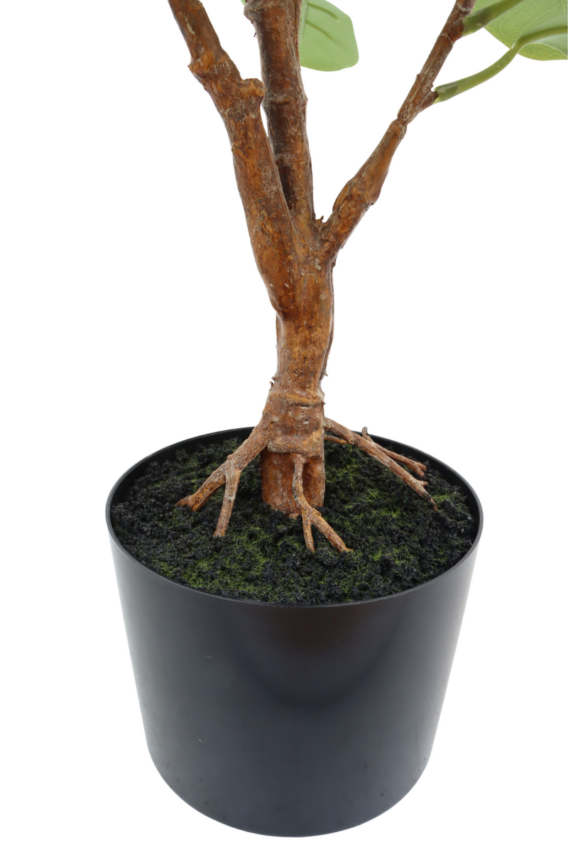 stam Ficus Kunstplant 80cm