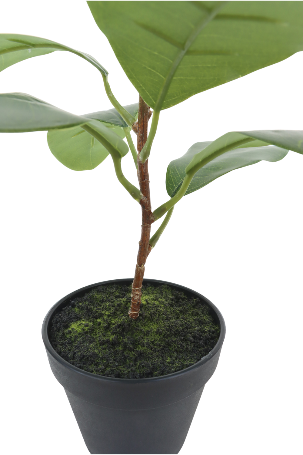 stam Ficus Kunstplant 35cm