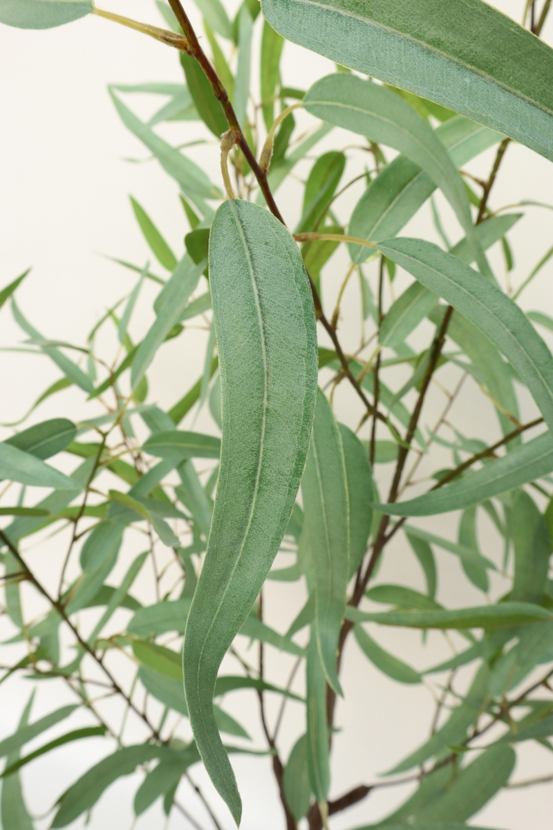 bladeren Eucalyptus Kunstplant 2 175cm