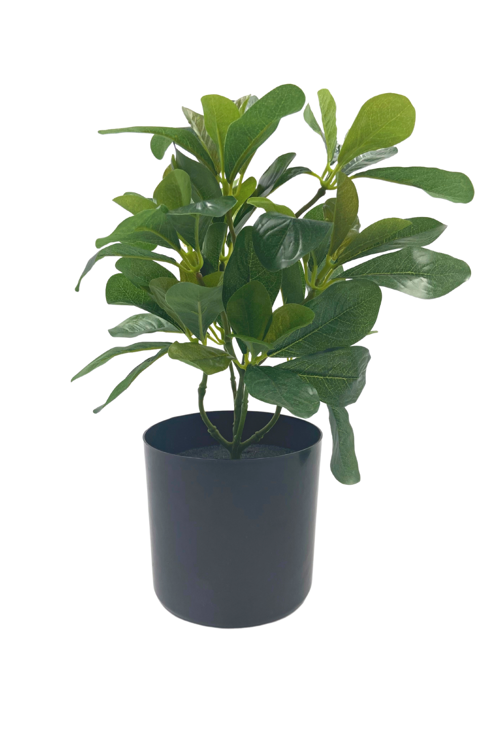 Schefflera Kunstplant 30cm
