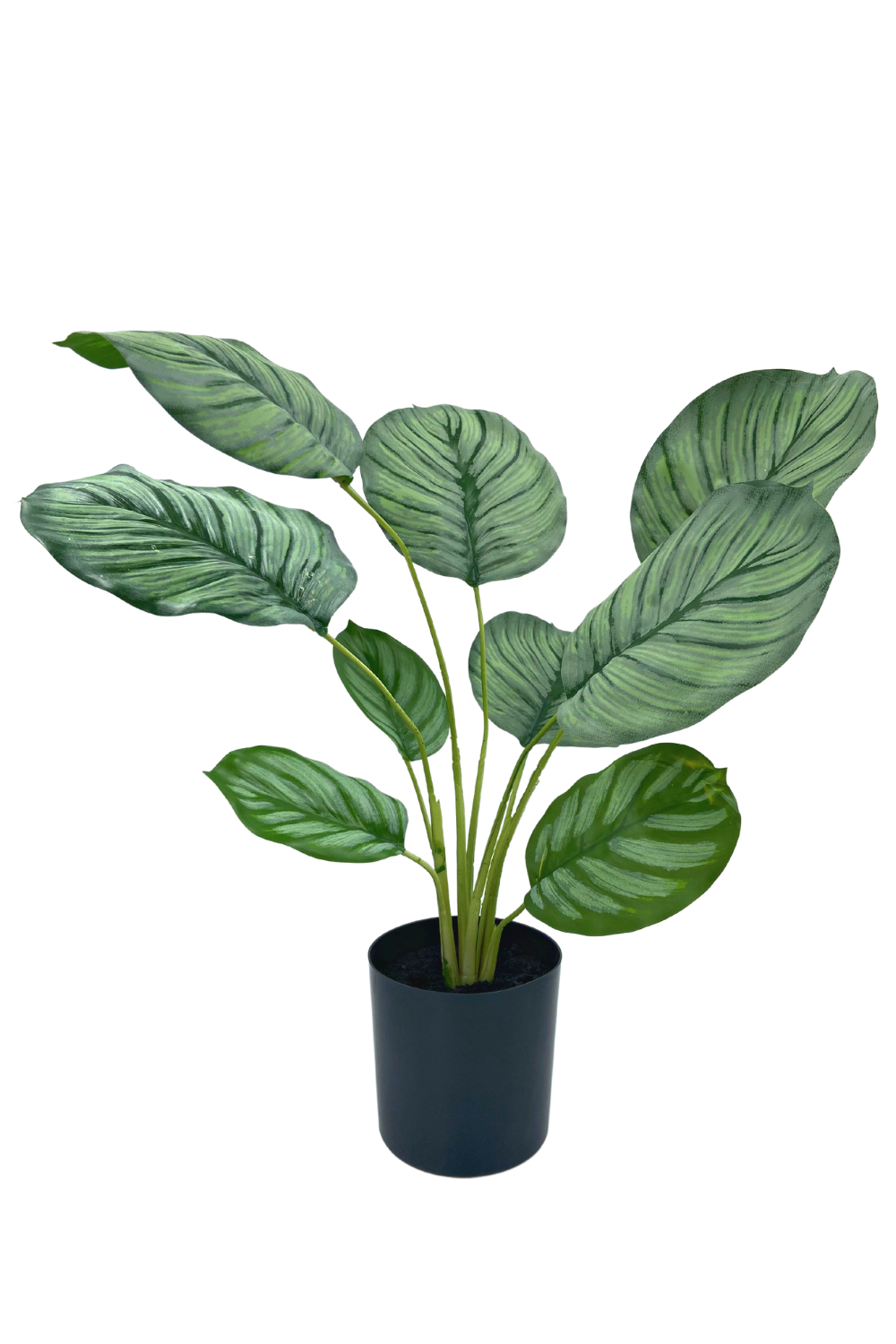 Calathea Kunstplant 45cm