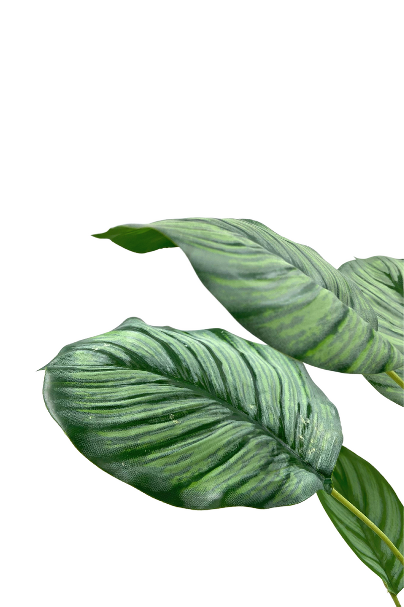 Calathea Kunstplant 45cm