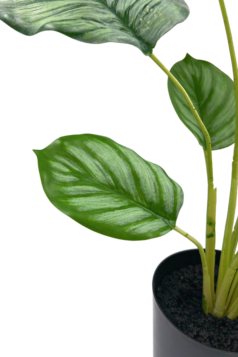 Calathea Kunstplant 45cm