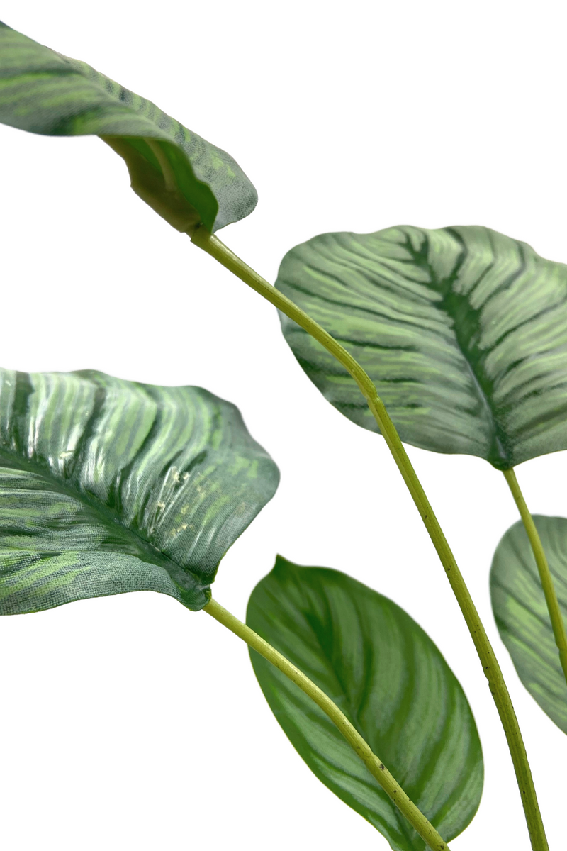 Calathea Kunstplant 45cm