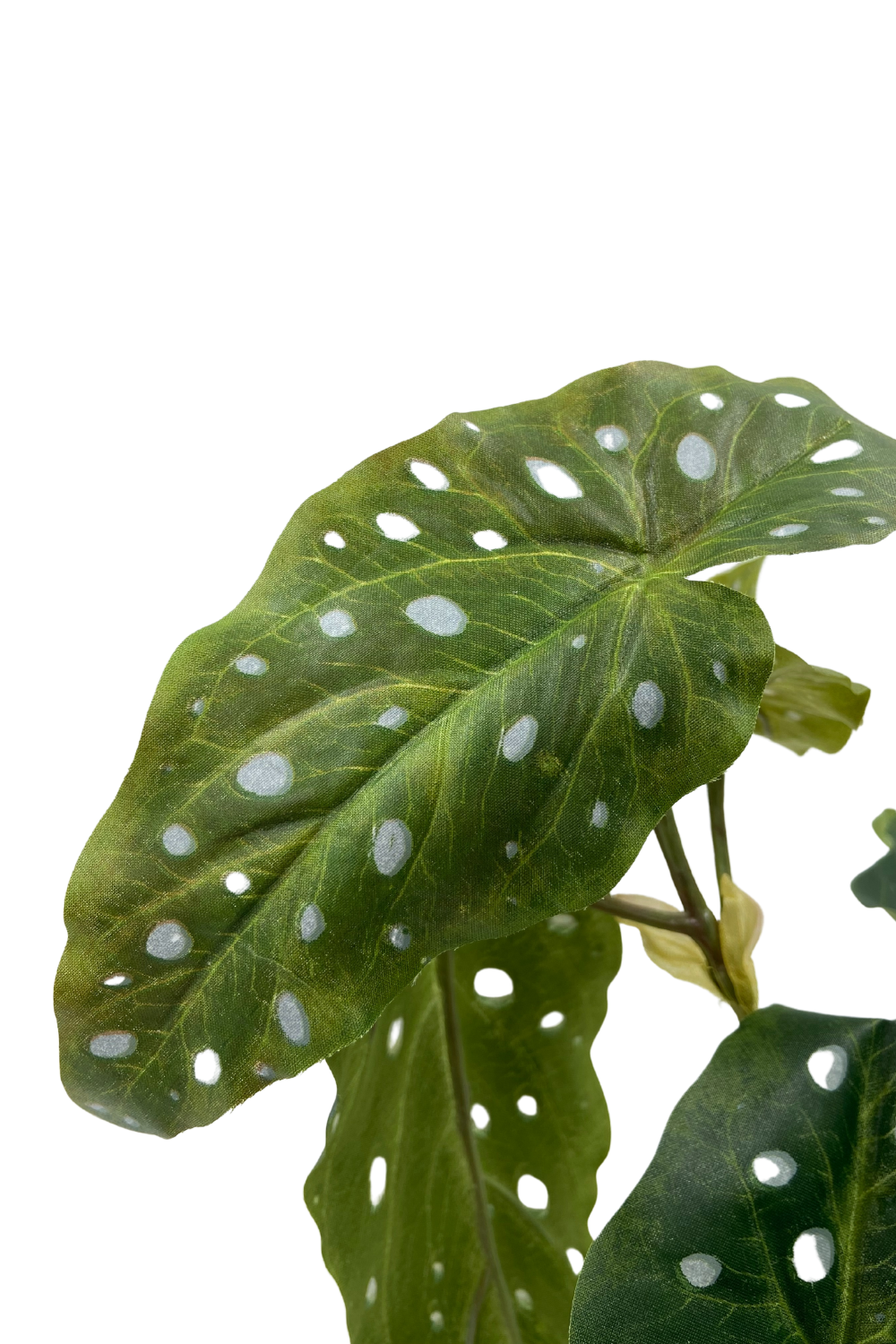 Begonia Maculata Kunstplant 30cm