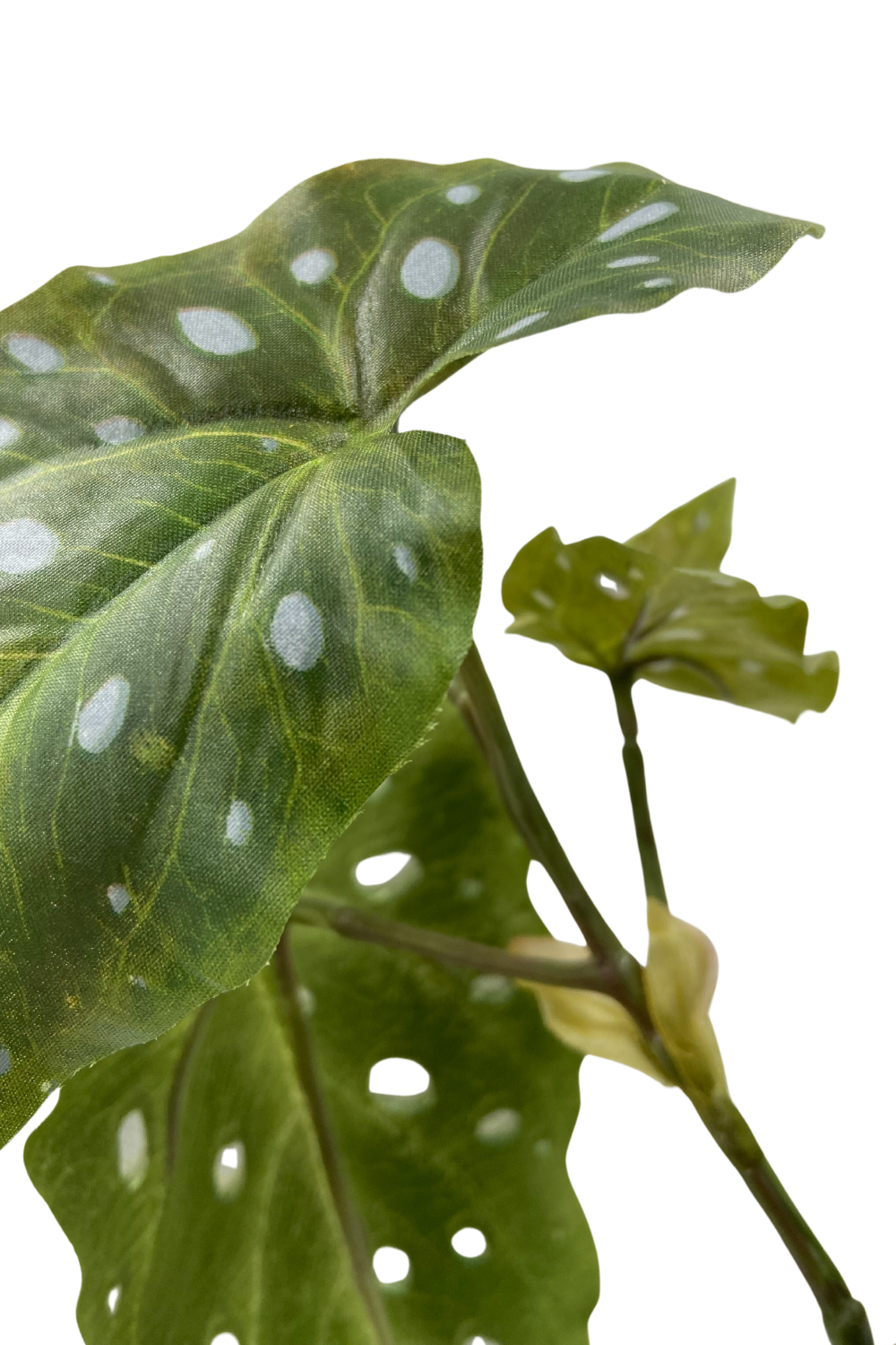 Begonia Maculata Kunstplant 30cm