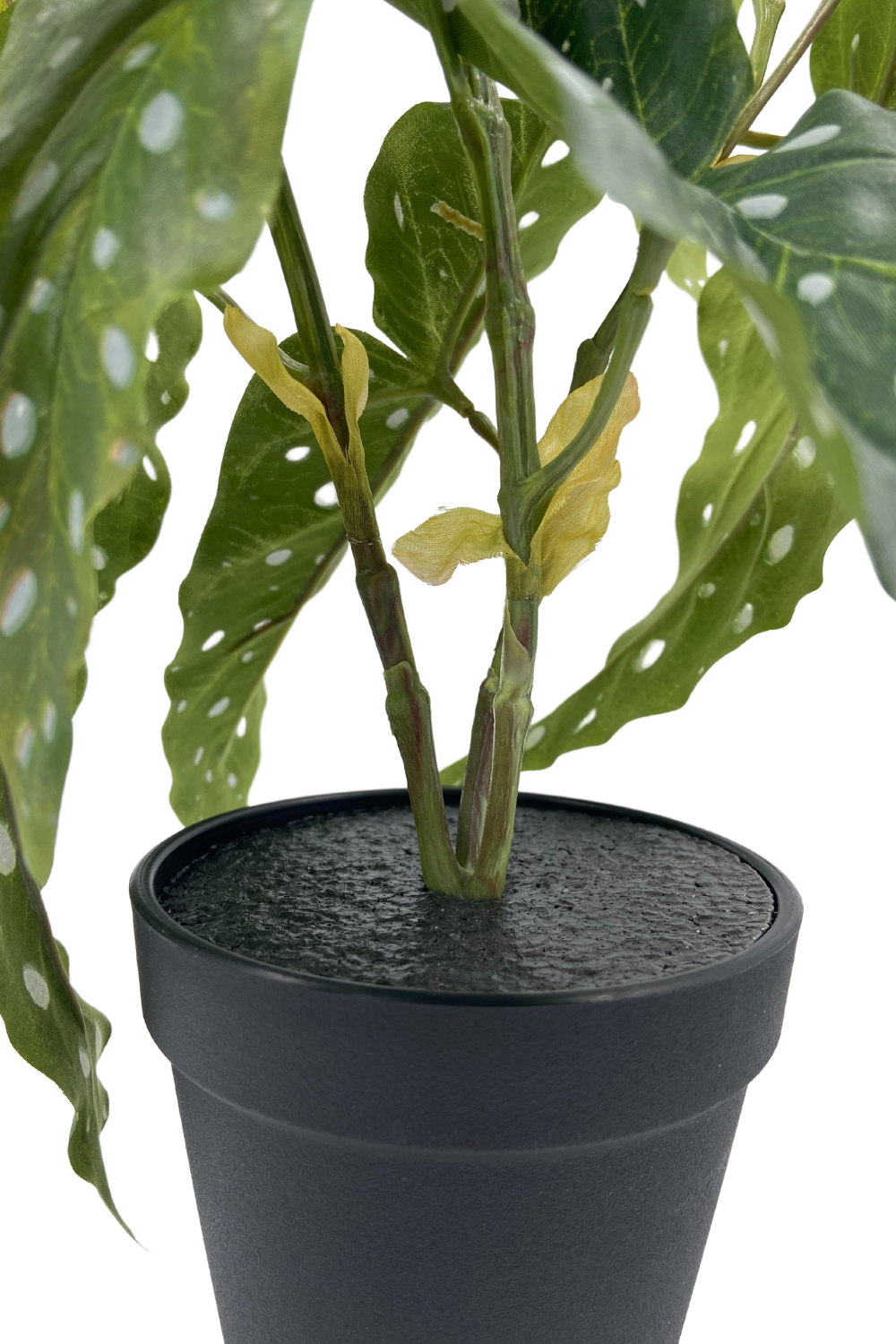 Begonia Maculata Kunstplant 30cm