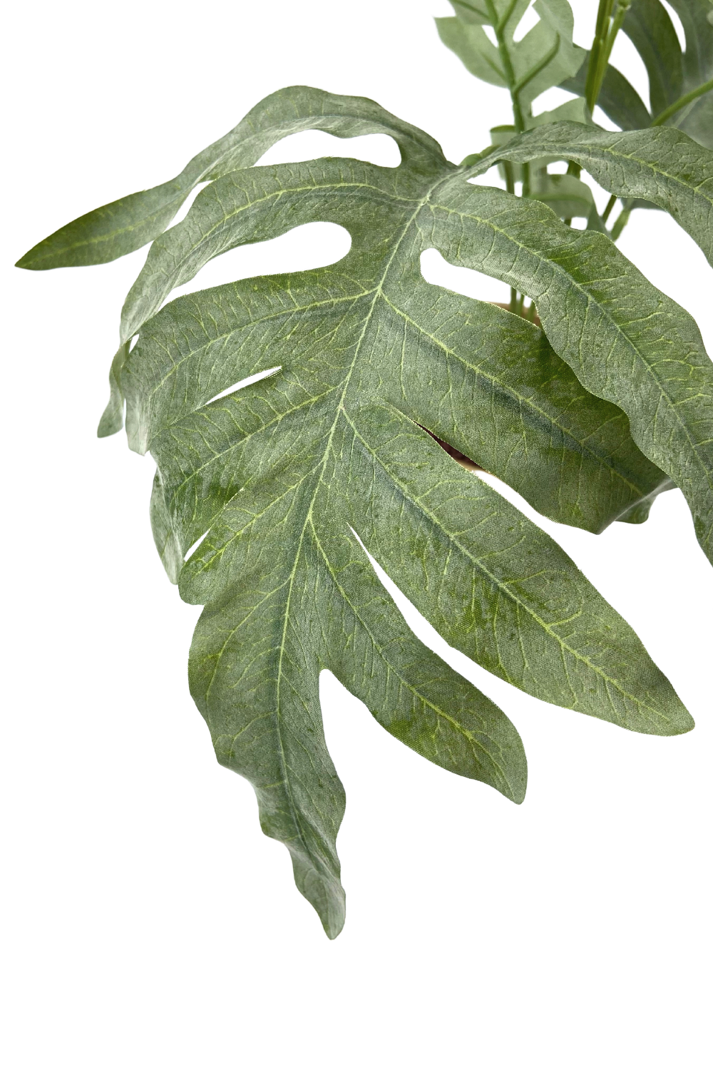 Phlebodium Kunstplant 65cm