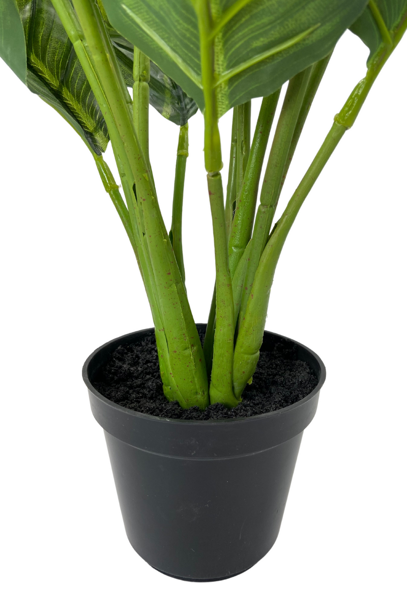 Calathea Kunstplant 60cm