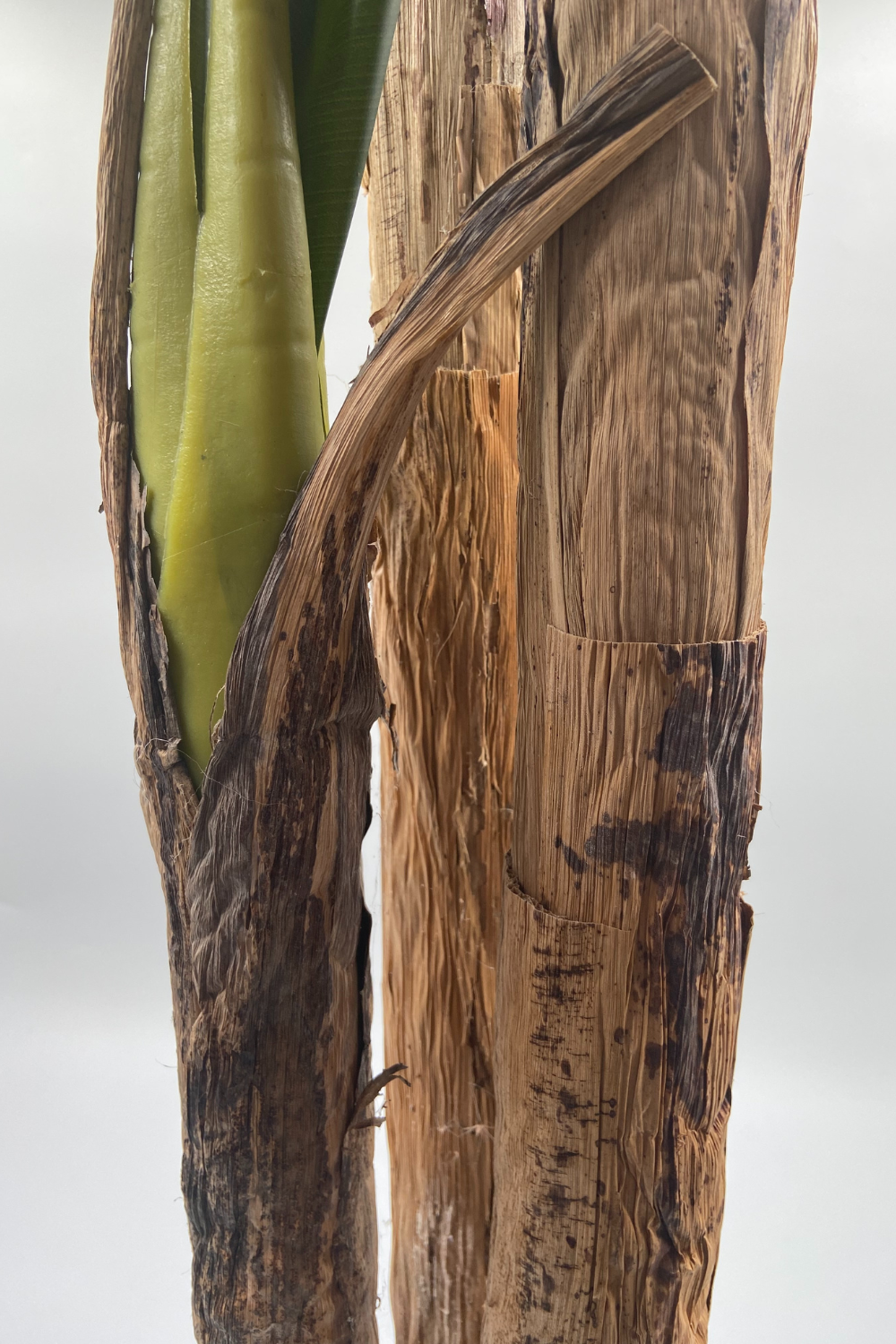 Kunst Bananenplant Serie B 180cm