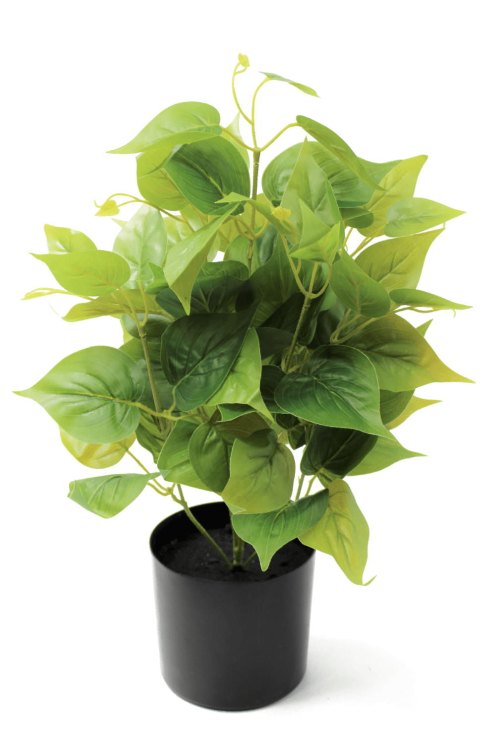 Dieffenbachia Kunstplant 45cm