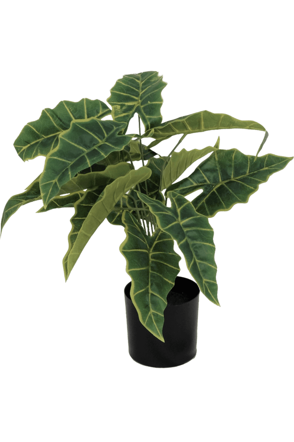 Alocasia kunstplant 40cm