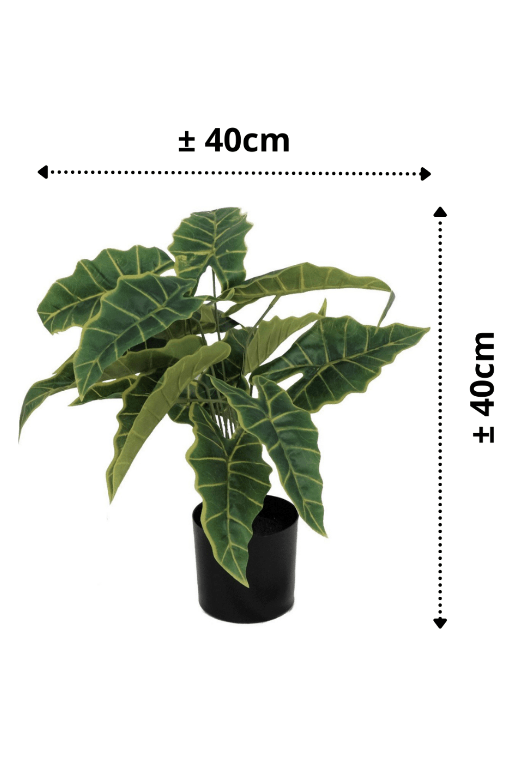 afmetingen Alocasia kunstplant 40cm