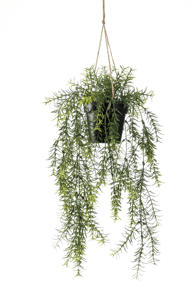 Asparagus kunst hangplant 50cm