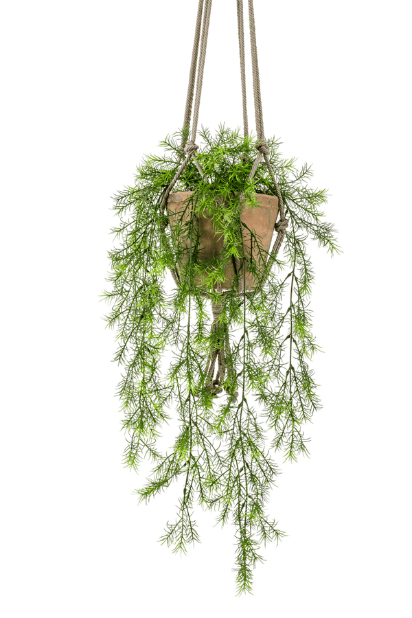 Asparagus Sprengeri kunst hangplant 75cm
