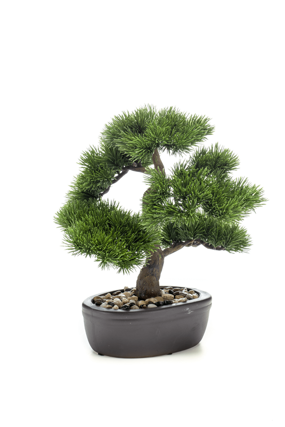 Bonsai Pinus Kunstplant 32cm
