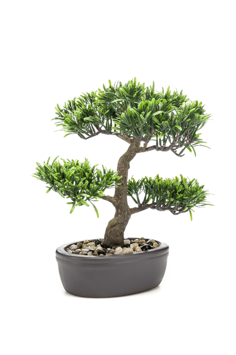 Bonsai Podocarpus Kunstplant 32cm