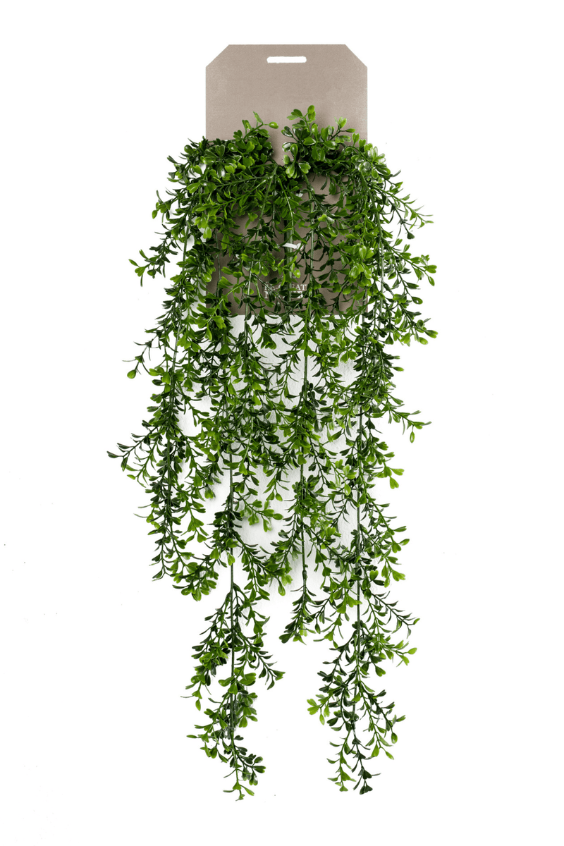 Buxus Kunst Hangplant 75cm
