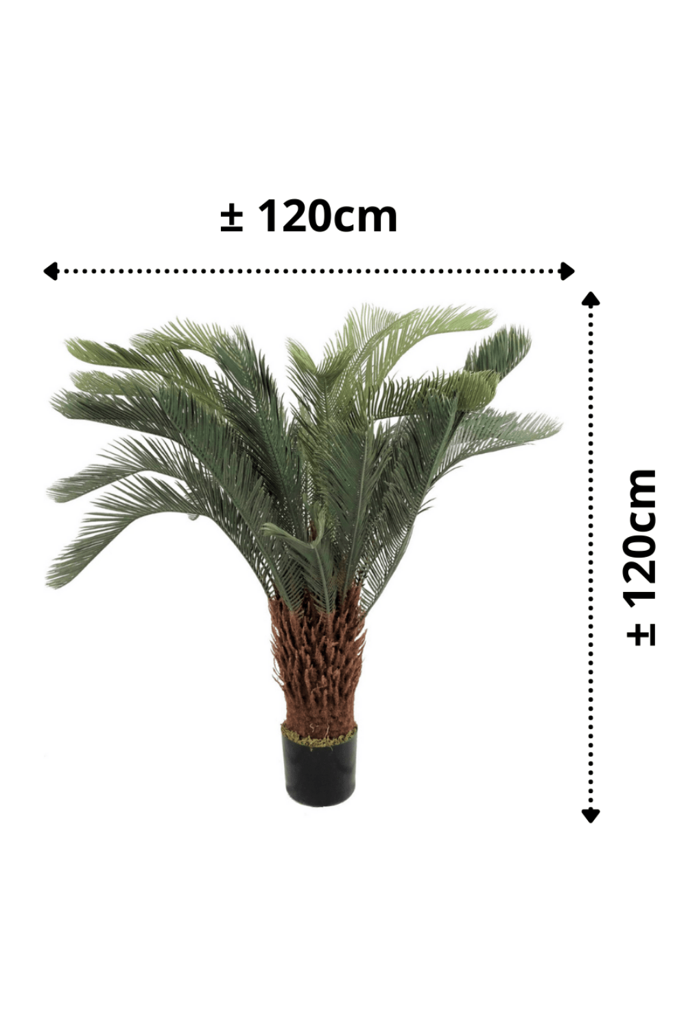 Afmetingen Cycas Kunstpalm 120cm