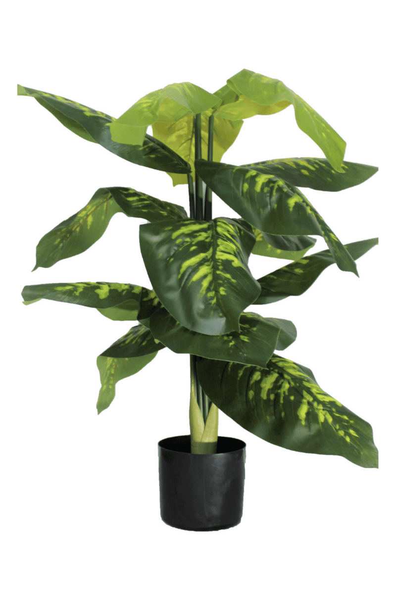 Dieffenbachia Kunstplant 100cm
