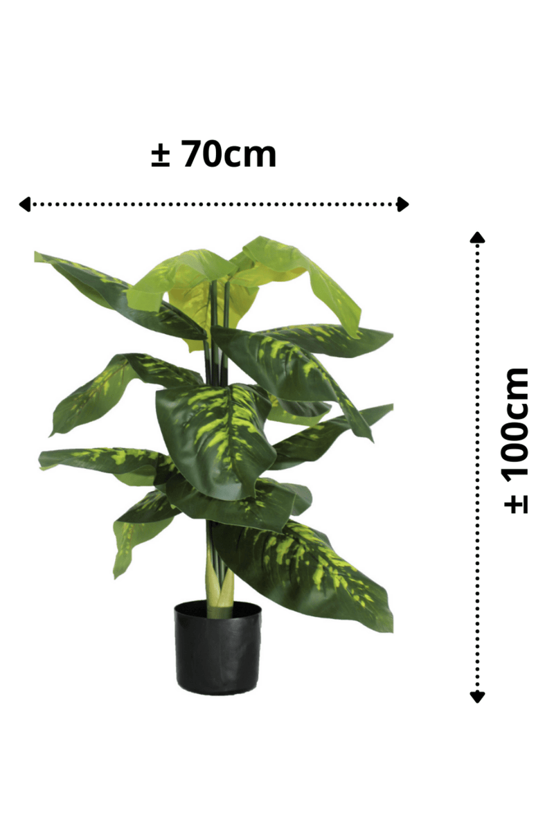 afmetingen Dieffenbachia Kunstplant 100cm