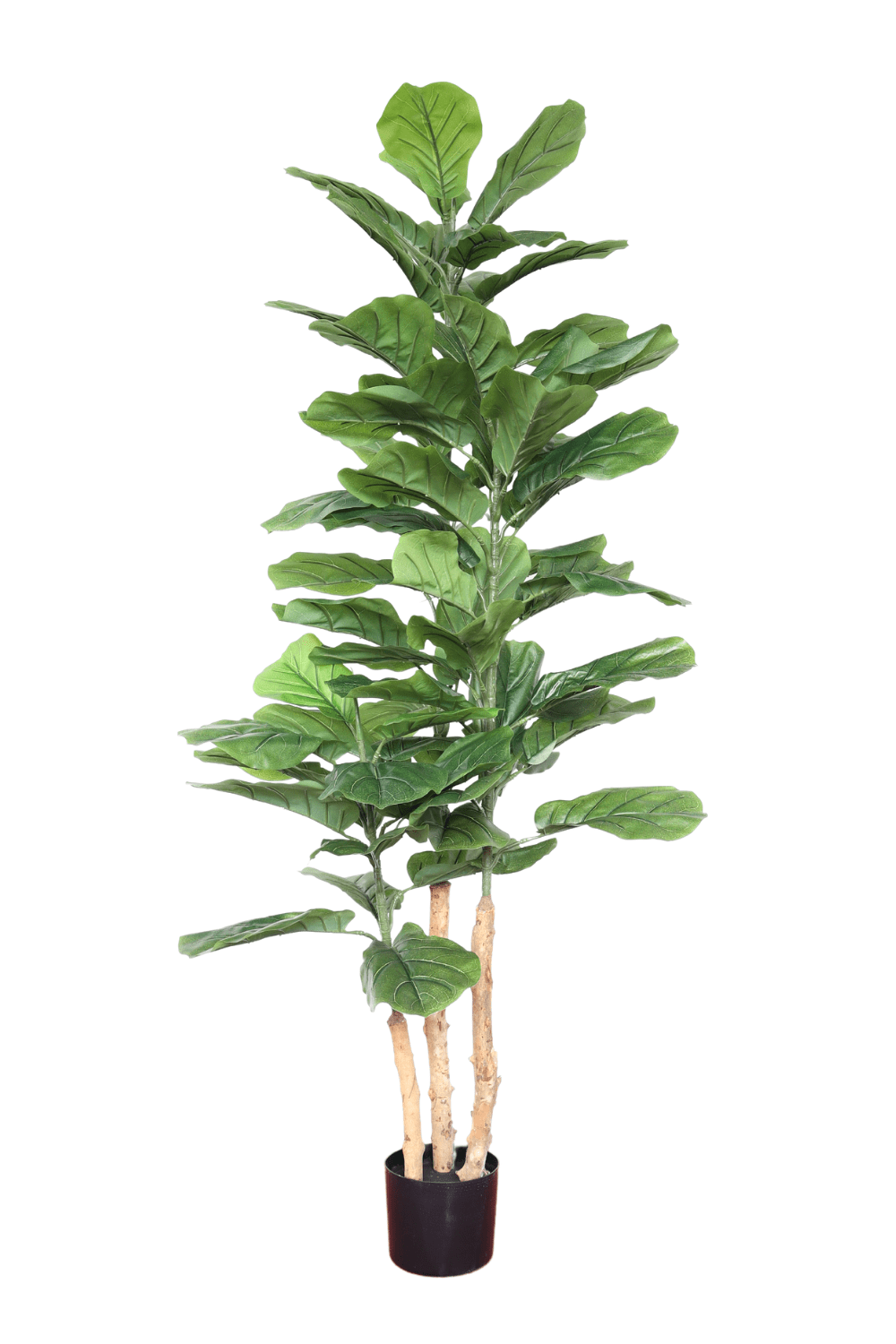 Ficus Kunstplant 150cm