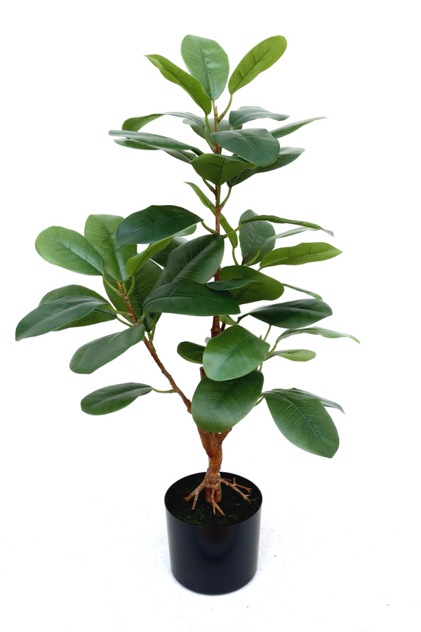 Ficus Kunstplant 80cm