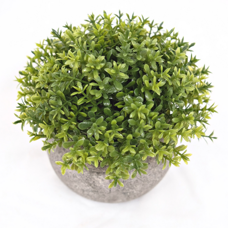 bovenaanzicht groen kunstplantje in pot 12cm