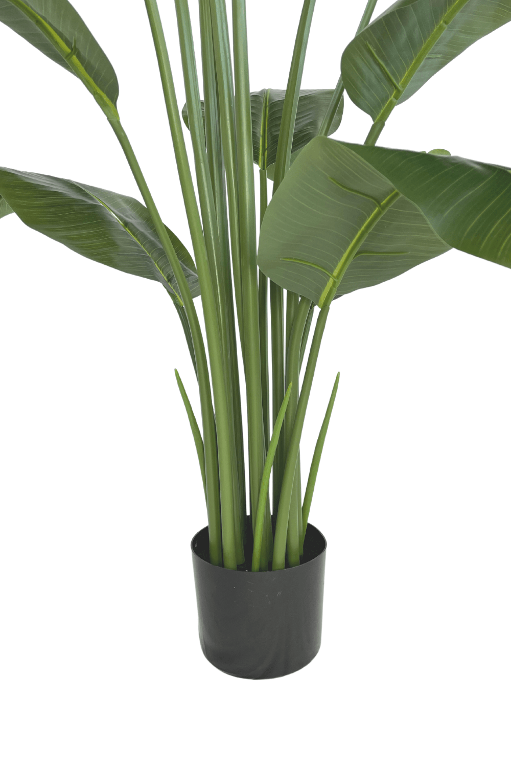 onderkant kunst bananenplant 180cm